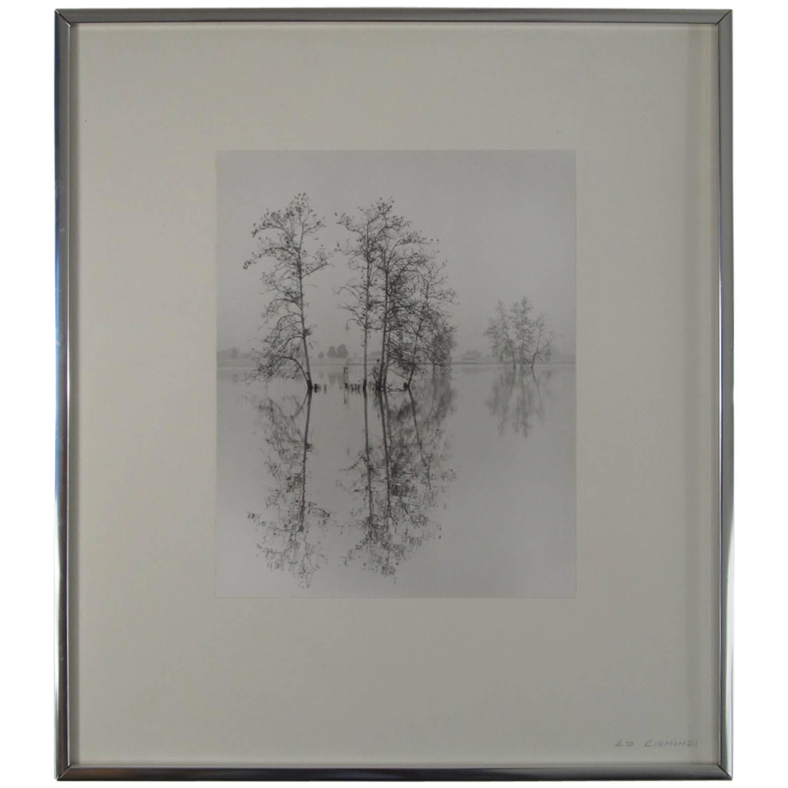 Ethereal Signed Photograph by Ed Cismondi For Sale