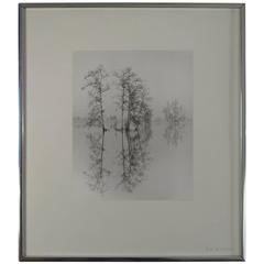 Ethereal Signed Photograph by Ed Cismondi