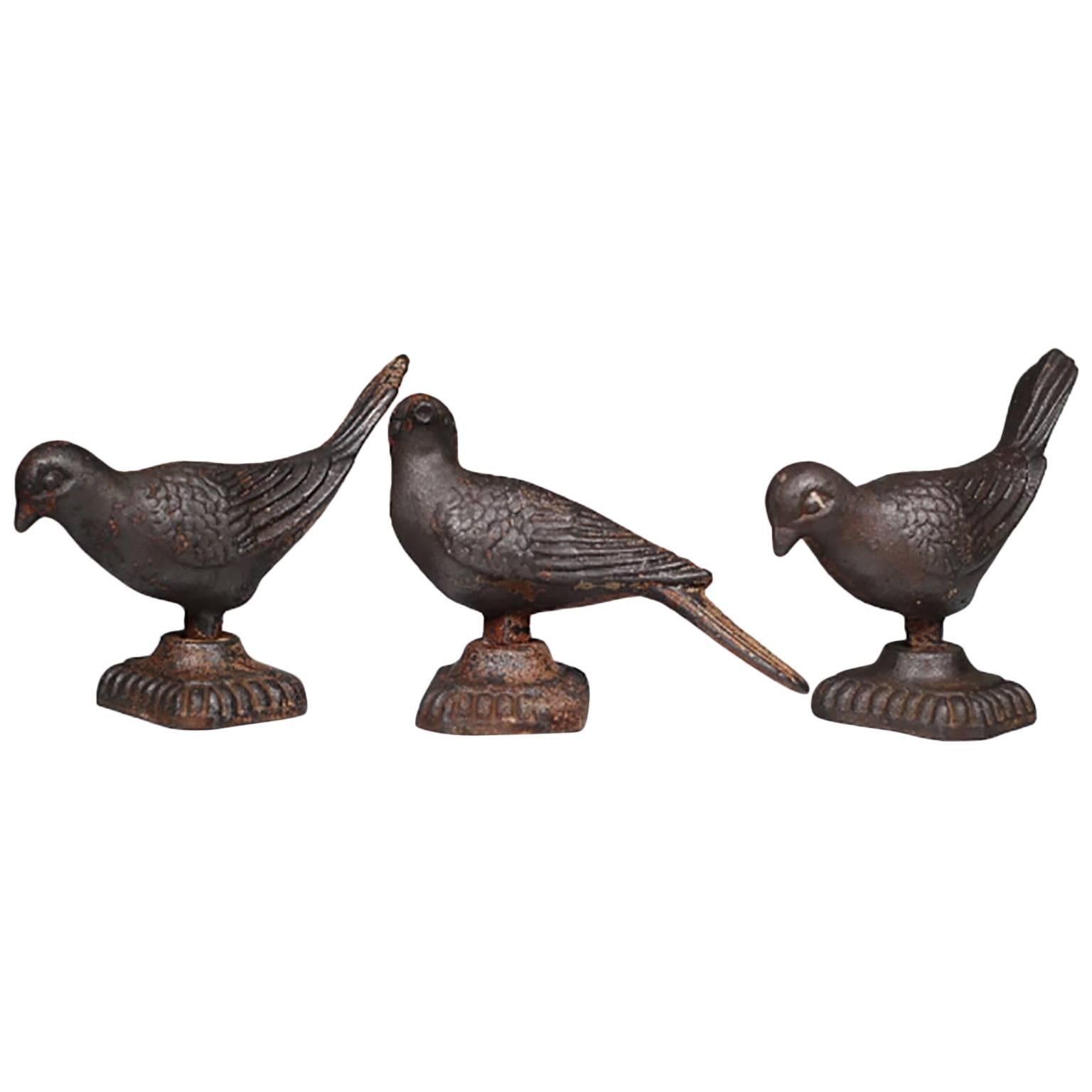 Collection of Cast Iron French Garden Birds, circa 1900 at 1stDibs