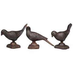Antique Collection of Cast Iron French Garden Birds, circa 1900