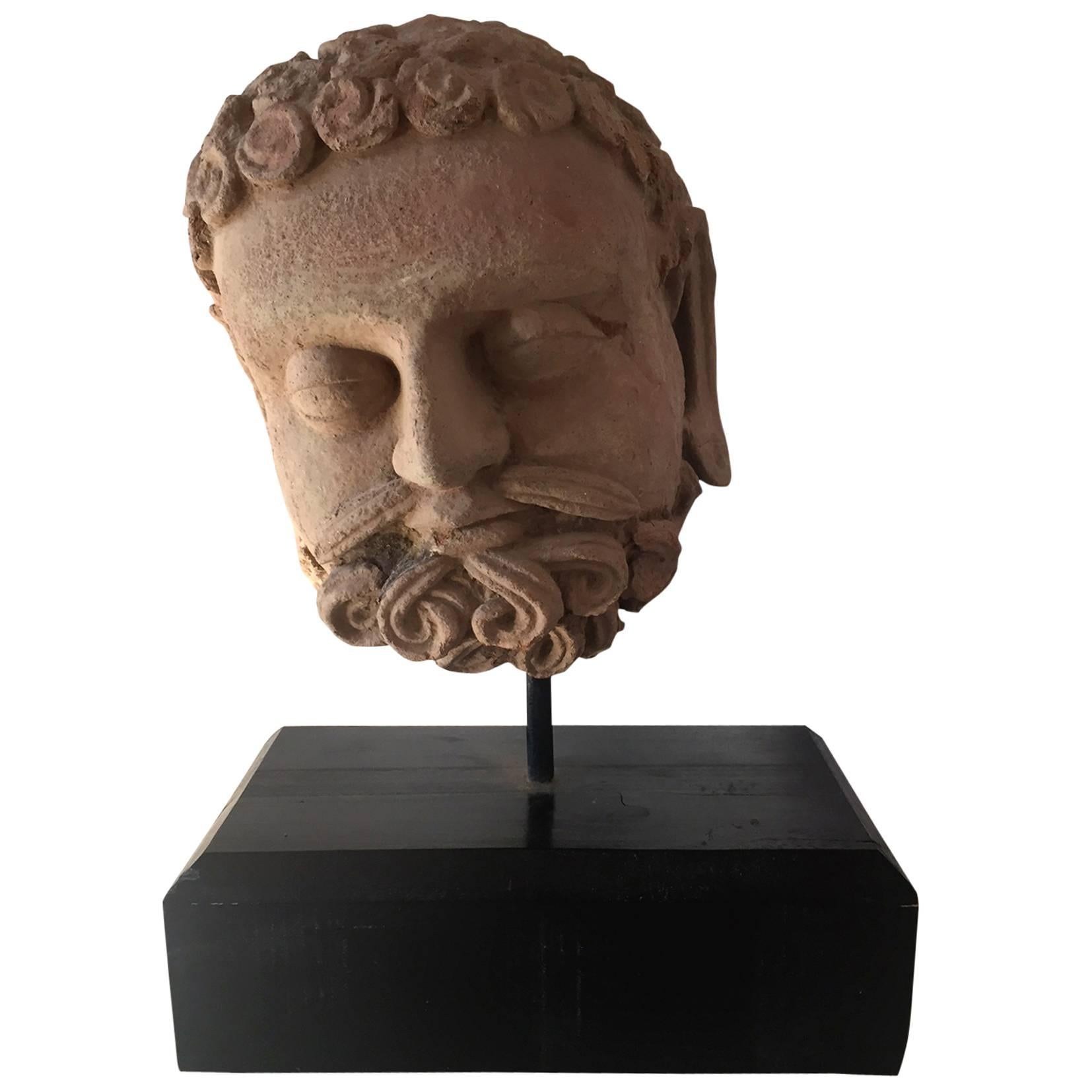 Tête de Gandhara en terre cuite sculptée