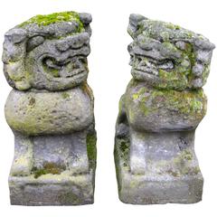 Antique Pair of 19th Century Chinese Stone Foo Dogs