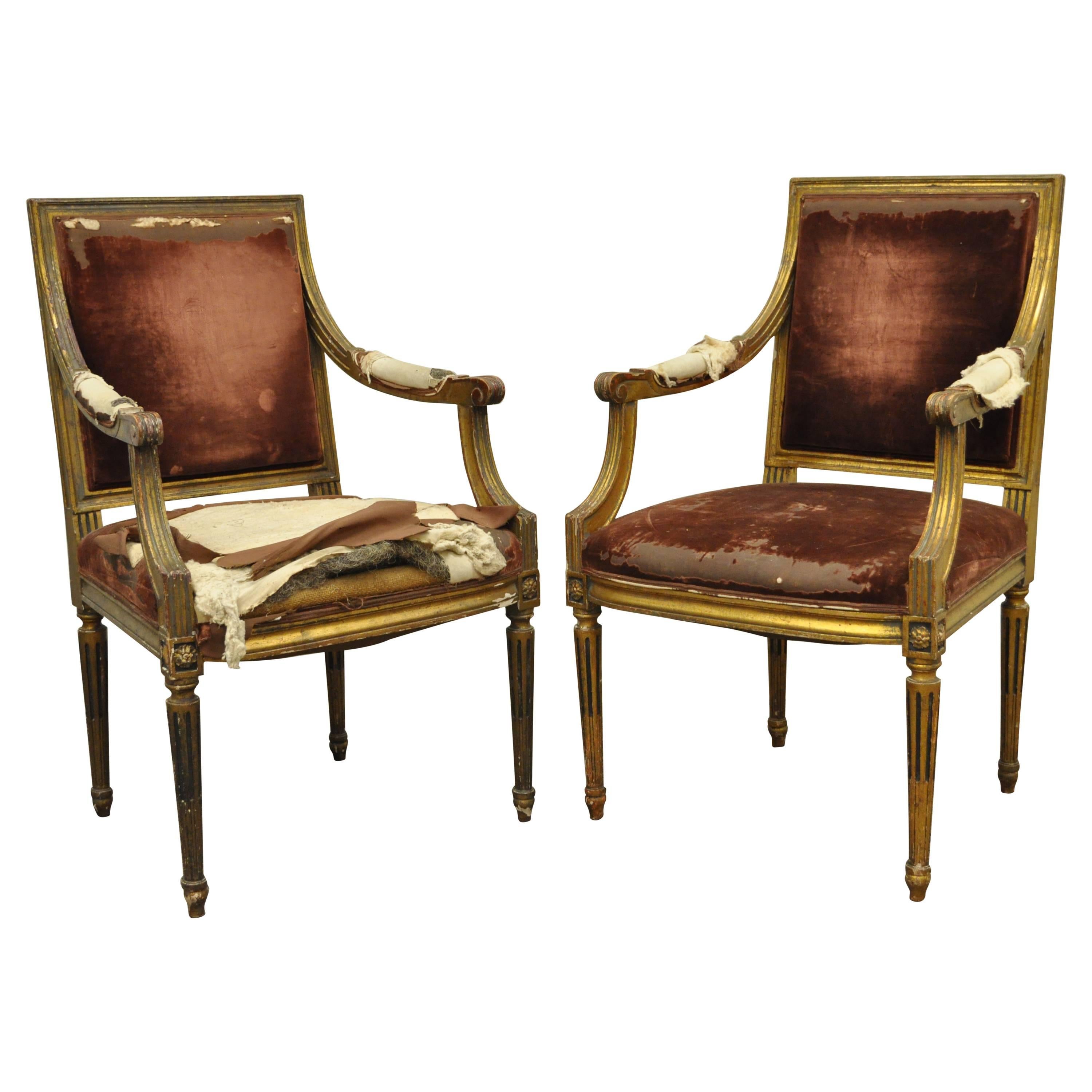 Pair of Gold Giltwood 19th Century French Louis XVI Style Dining Armchairs