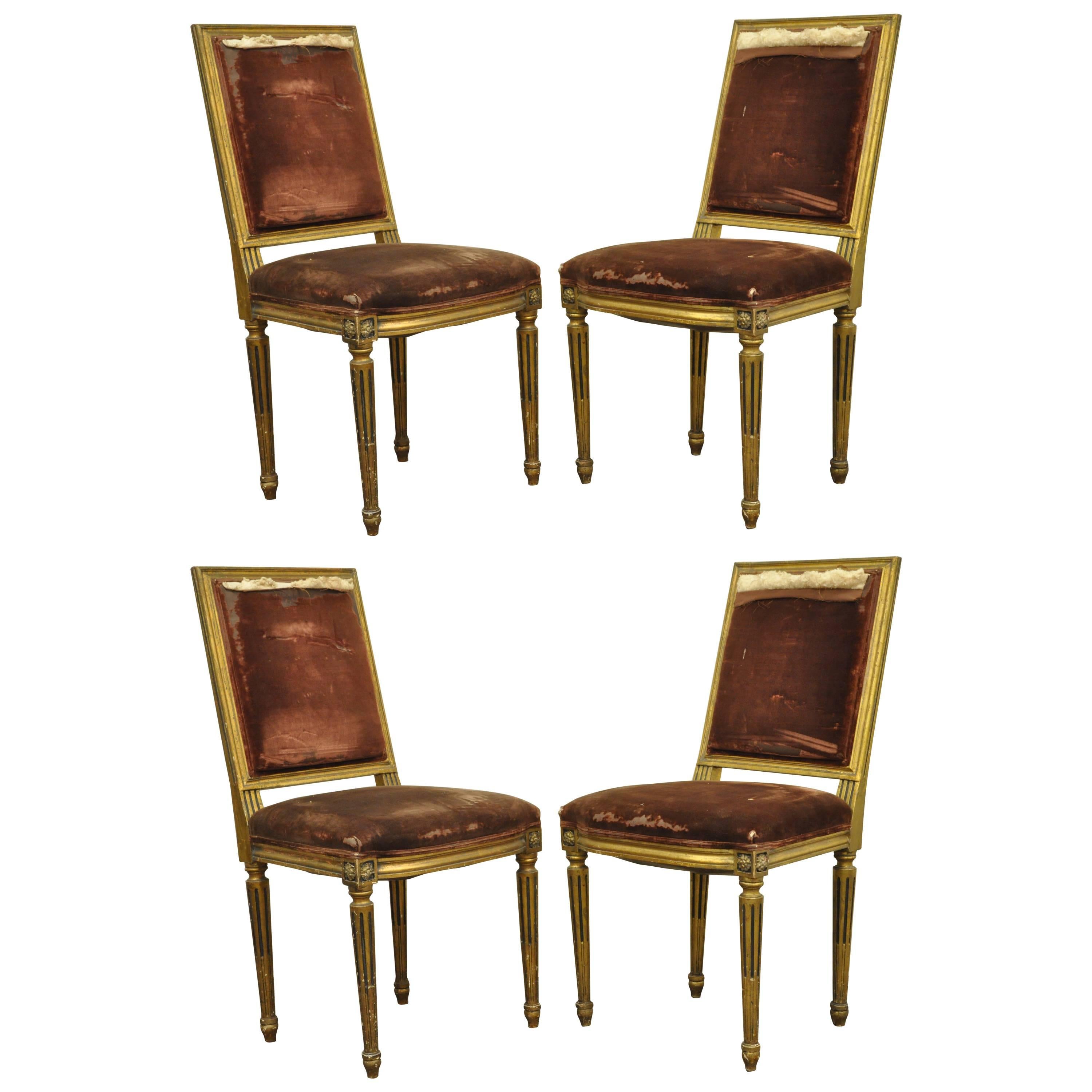 Set of Four Gold Giltwood 19th Century French Louis XVI Style Dining Side Chairs