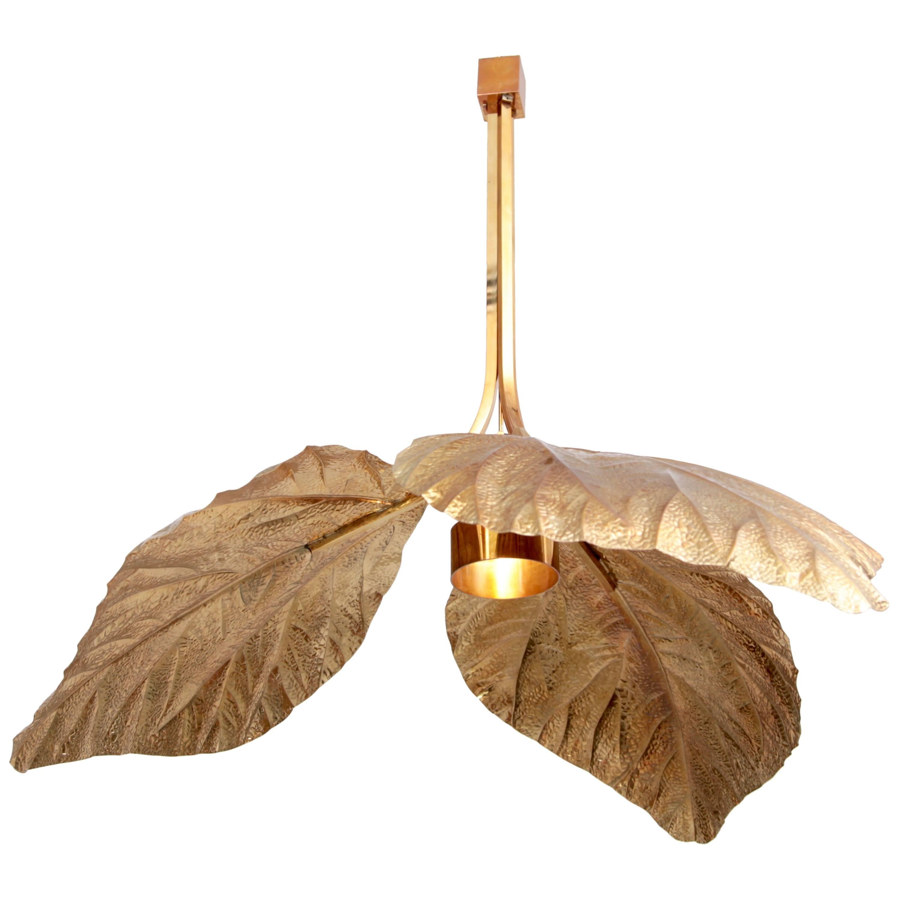 Rare Huge Rhubarb Leaf Brass Chandelier by Tommaso Barbi