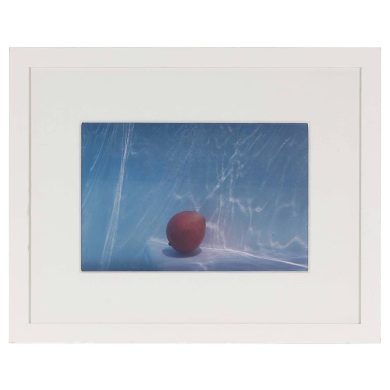 Mango Underwater by Marian Roth For Sale at 1stDibs