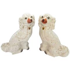 Used English Large Size Staffordshire Cavalier King Charles Mantel Dogs