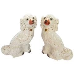 Antique English Large Size Staffordshire Cavalier King Charles Mantel Dogs