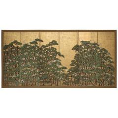 Japanese Six Panel Screen: Japanese Red Pine and Cherry In Perfect Harmony