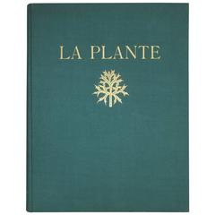 Karl 'Charles' Blossfeldt "La Plante" 1929, 120 Plates in Heliogravures - Scarce