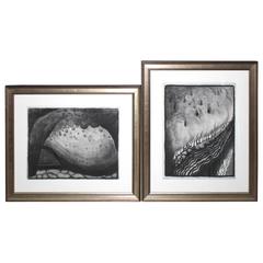 Pair of Georgia O'Keeffe Off-Set Lithographs 1