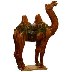 Chinese Tang Dynasty Model of a Camel