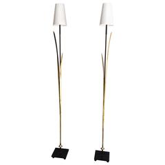 Pair of Iron Organic Floor Lamps Imported from France