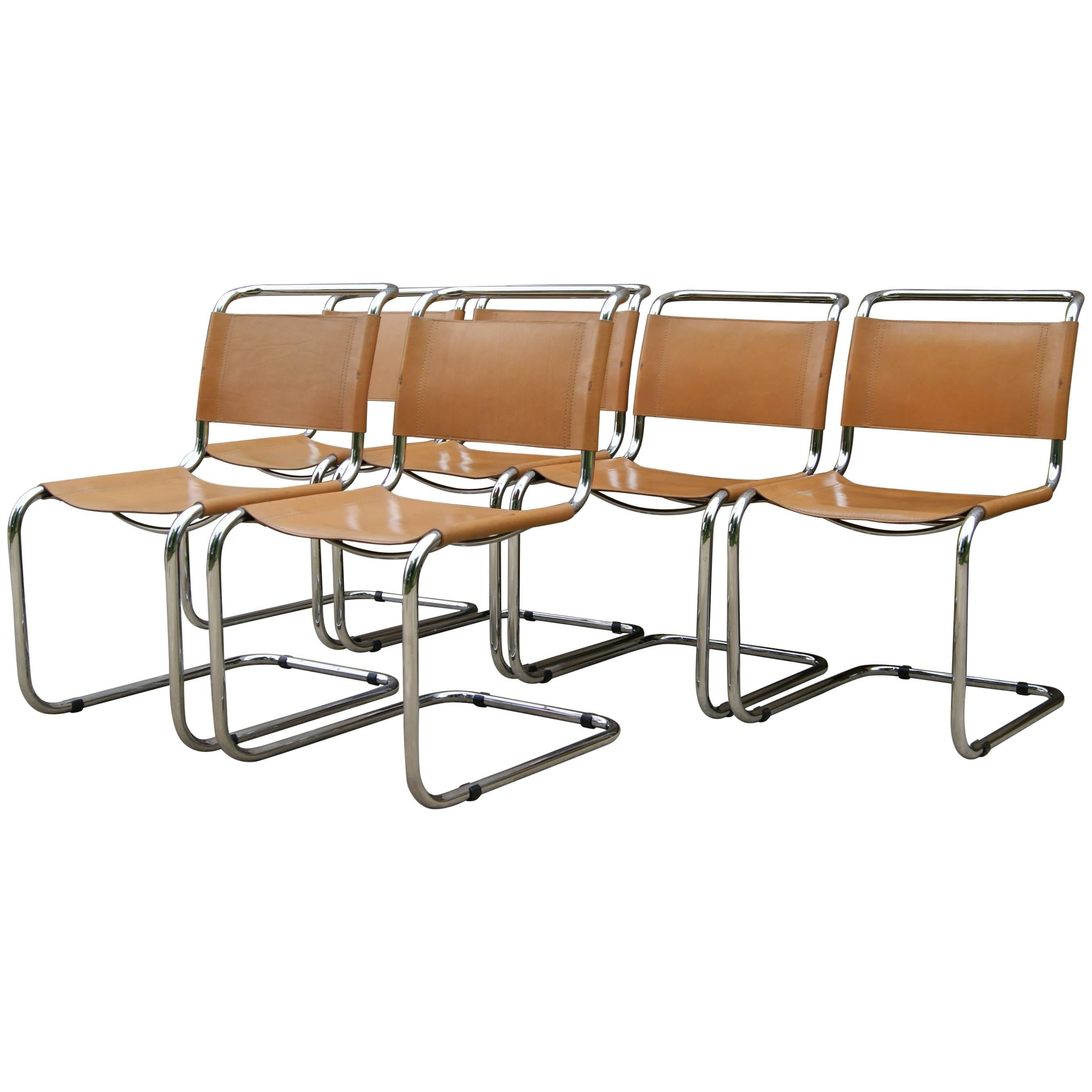 Six Mart Stam Cantilever Dining Chairs, Saddle Leather with Tubular Steel