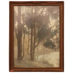 Antique 1920s Hand Tinted Landscape Photograph with Pond and Eucalyptus