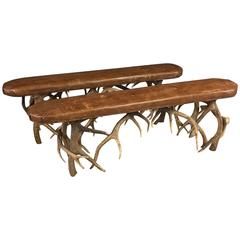 Leather Bench on Deer Antlers Pair of Two