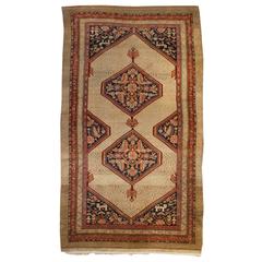 Exceptional 19th Century Serab Rug