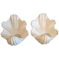 Serge Roche Plaster "Shell" Wall Sconces