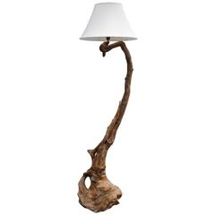 Tall Floor Lamp Made from Root and Burl