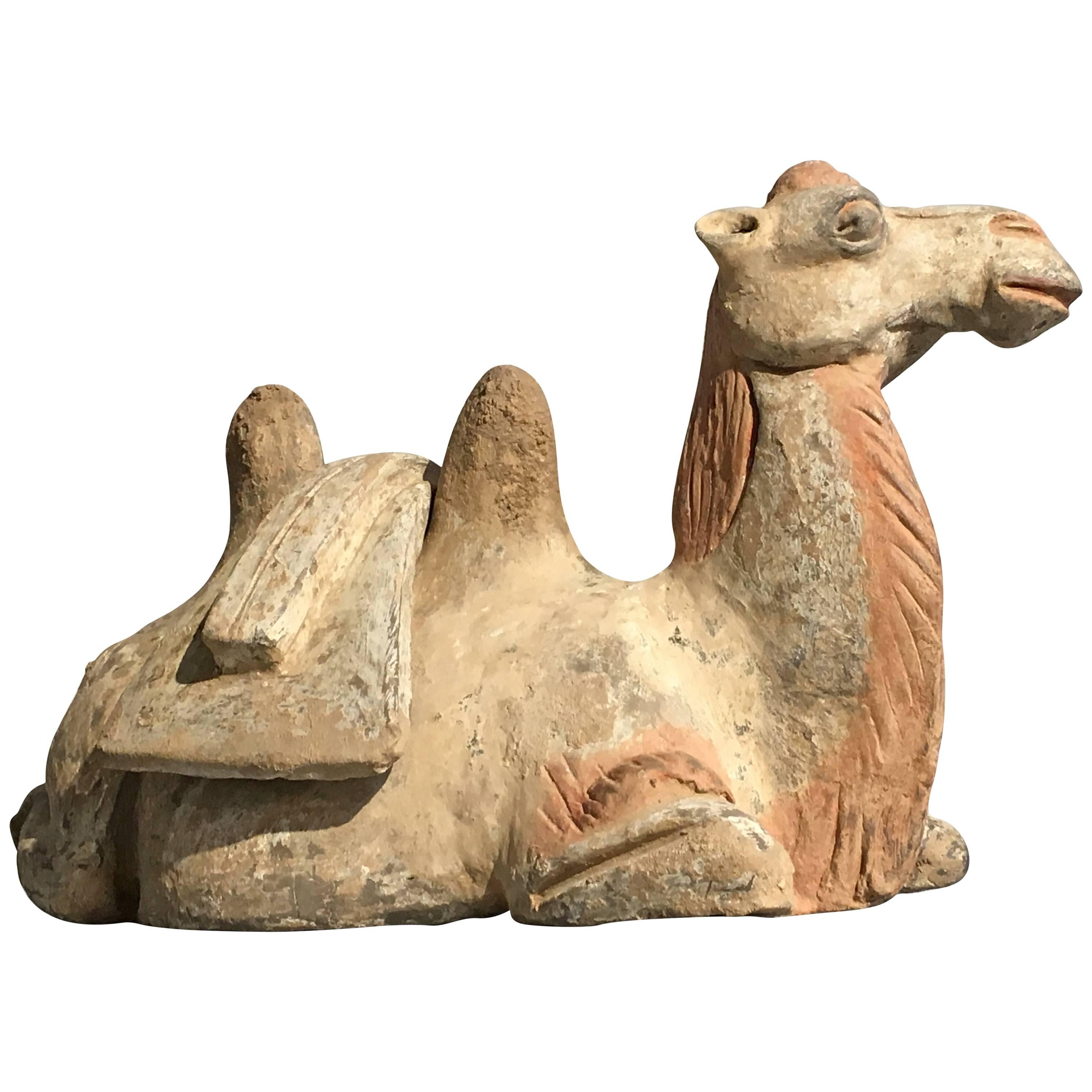 Tang Dynasty Pottery Model of a Recumbent Camel with Removable Saddle