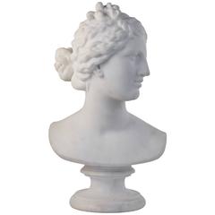 19th Century Italian School Carved Marble Bust of the Goddess Aphrodite