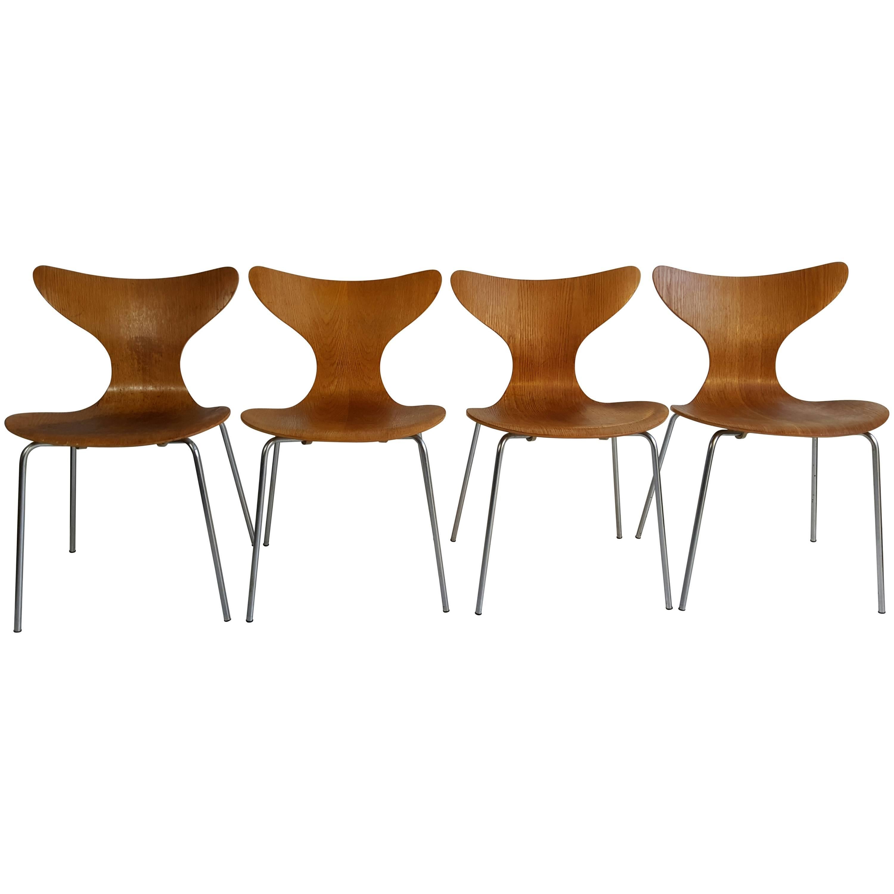 Rare Set of Four Oak and Chrome "Seagull
 Chairs Model 3108 by Arne Jacobsen