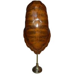 Extremely Large 20th Century Sea Turtle Shell Shield on Stand