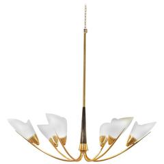 1950s French Mid-Century Modern Design Tulip Shaped Glass and Brass Chandelier