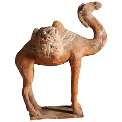 Rare Tang Dynasty Terracotta Camel