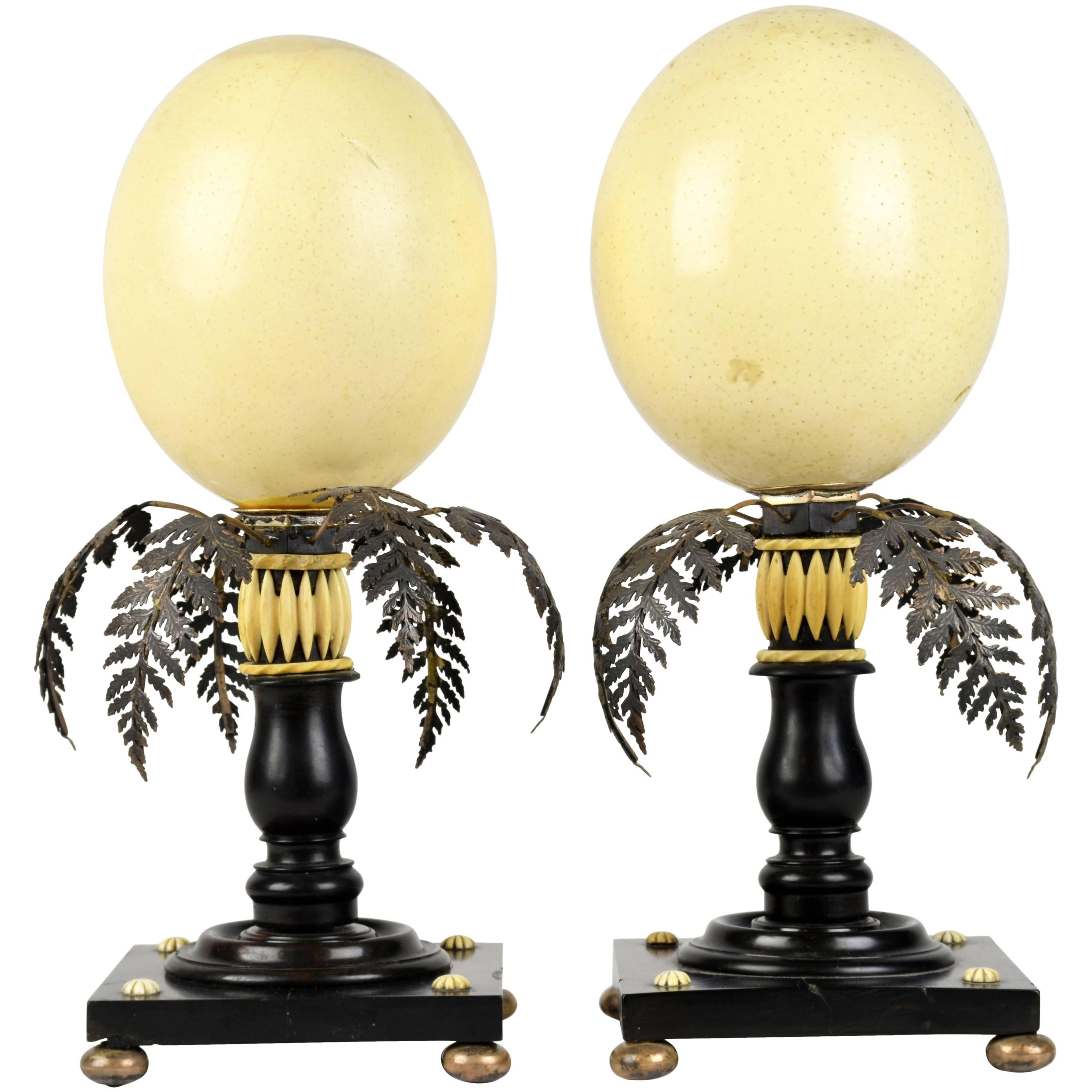 Austrian 19th Century Ostrich Eggs on Ivory Adorned Black Palm Tree Stands, Pair