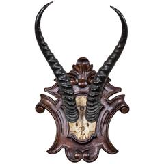19th Century African Springbok Trophy Attributed to Thomas von Prince