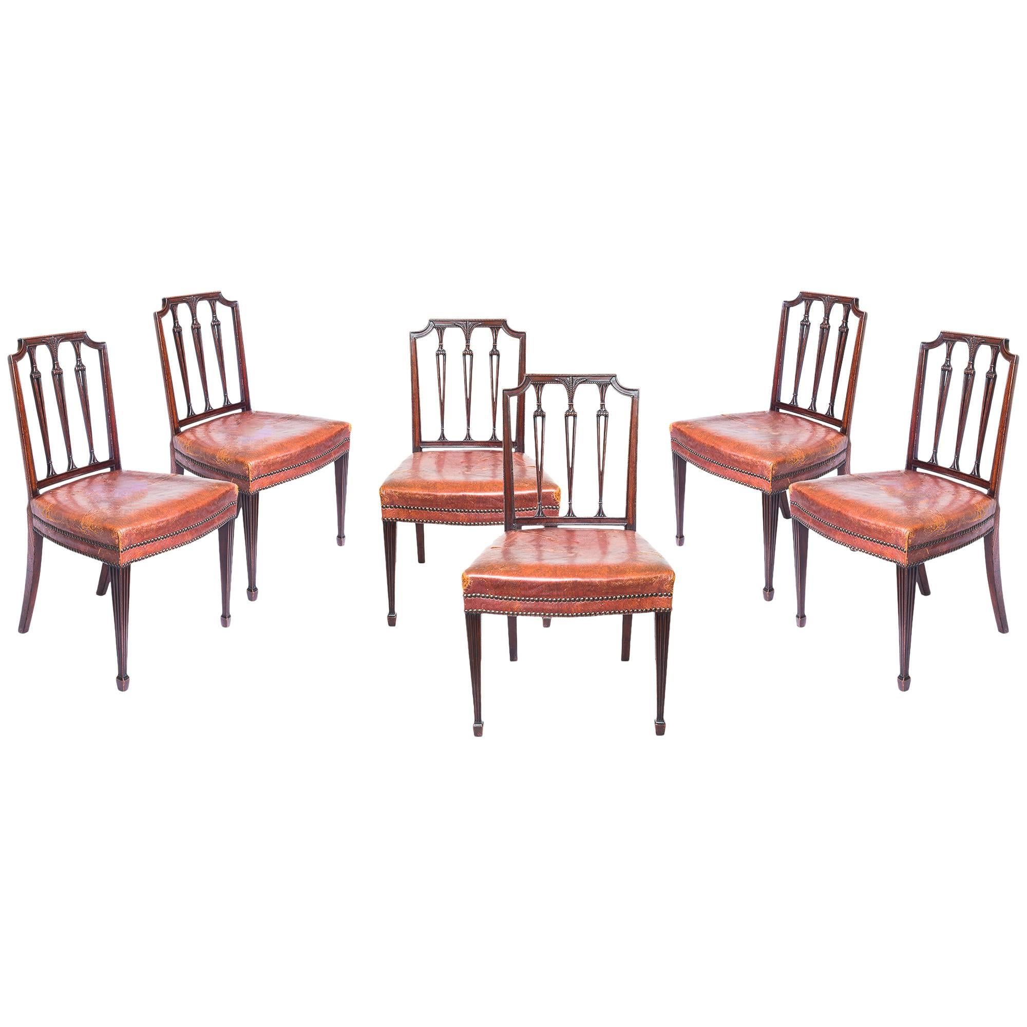 Superb Set of Six 19th Century Neoclassical Style Chairs