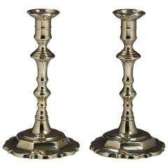 Pair of English Brass Daisy Base Candlesticks Lighting