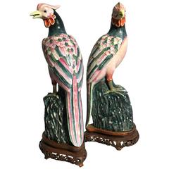 Pair of Chinese Export Famille Rose Enameled Pheasants