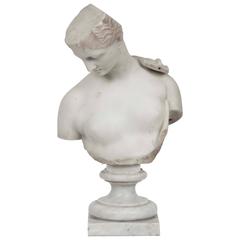 19th Century Italian Classical Marble Bust of Venus 8