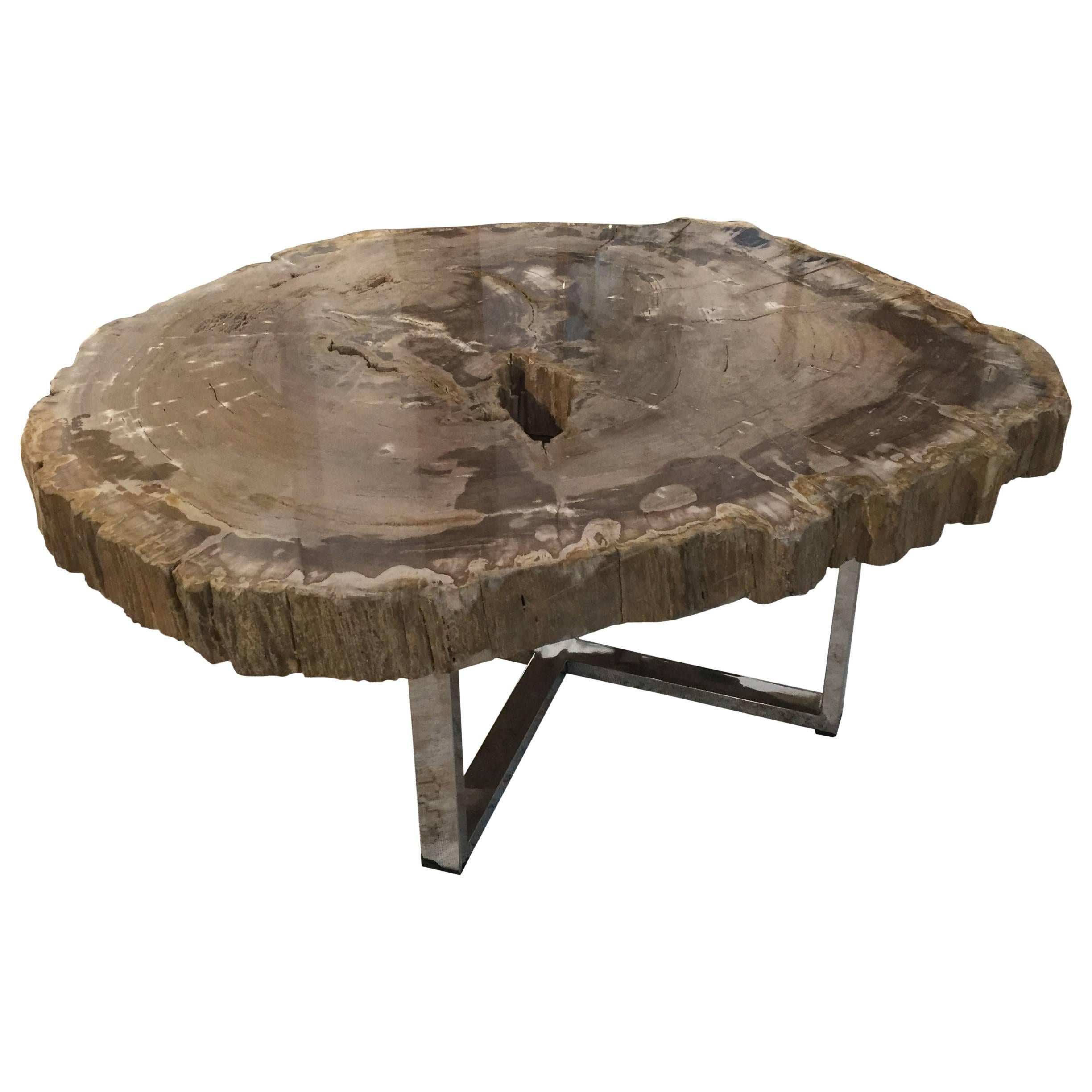 Very Nice Large Modern Petrified Wood Coffee Table with Steel Base