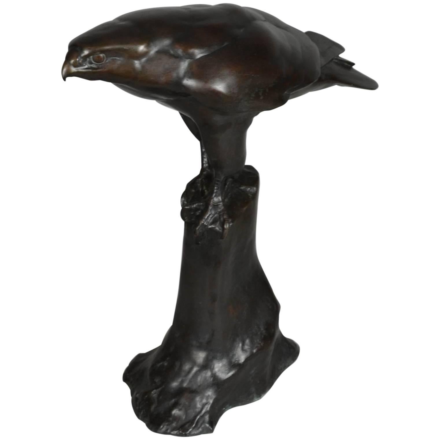 Seltener deutscher Bronzefalke auf einem Felsen von Willy Zügel