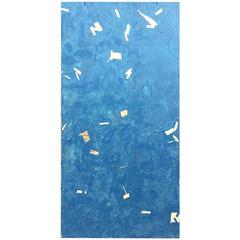 Chris Rucker, Blue Safety Panel 1, USA, 2016 12