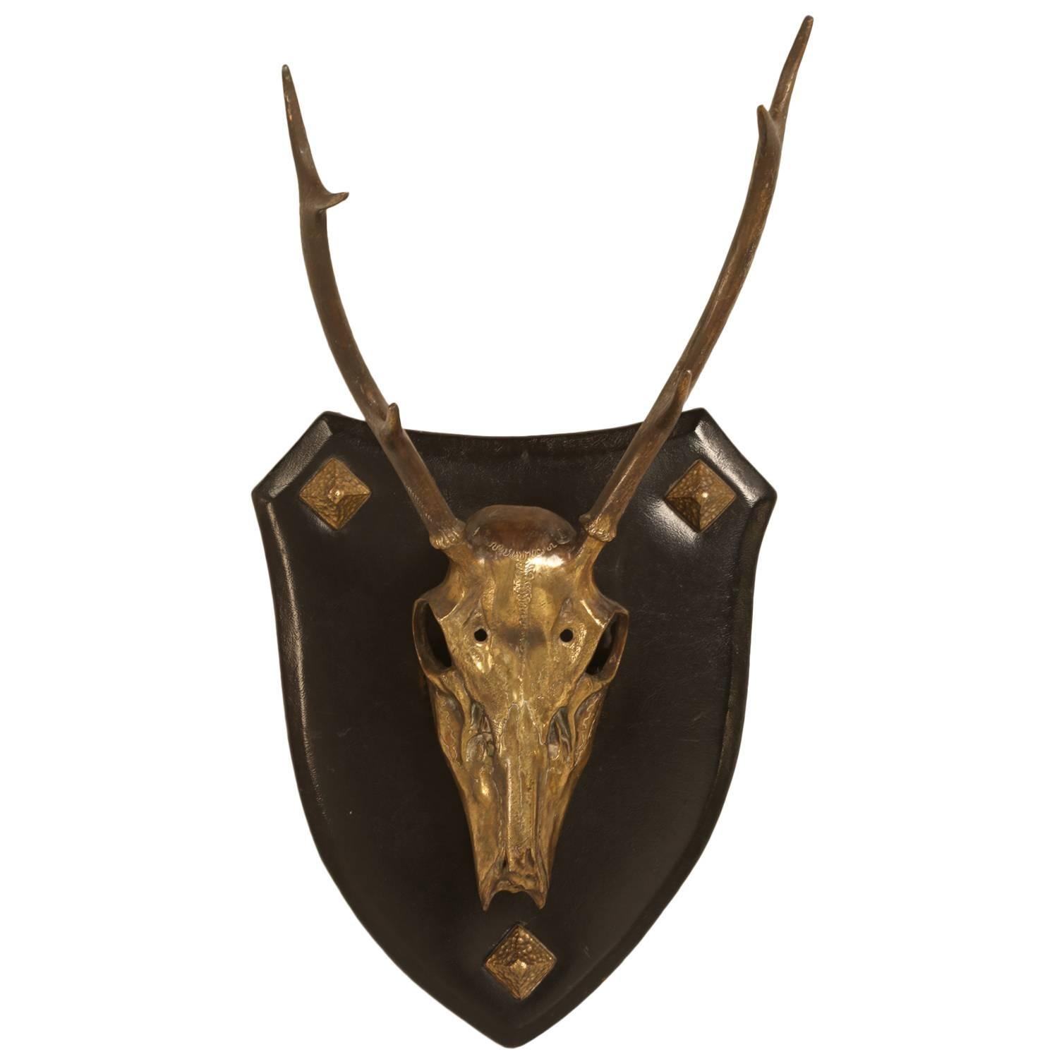 French Polished Brass Stag Skull