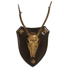 Vintage French Polished Brass Stag Skull