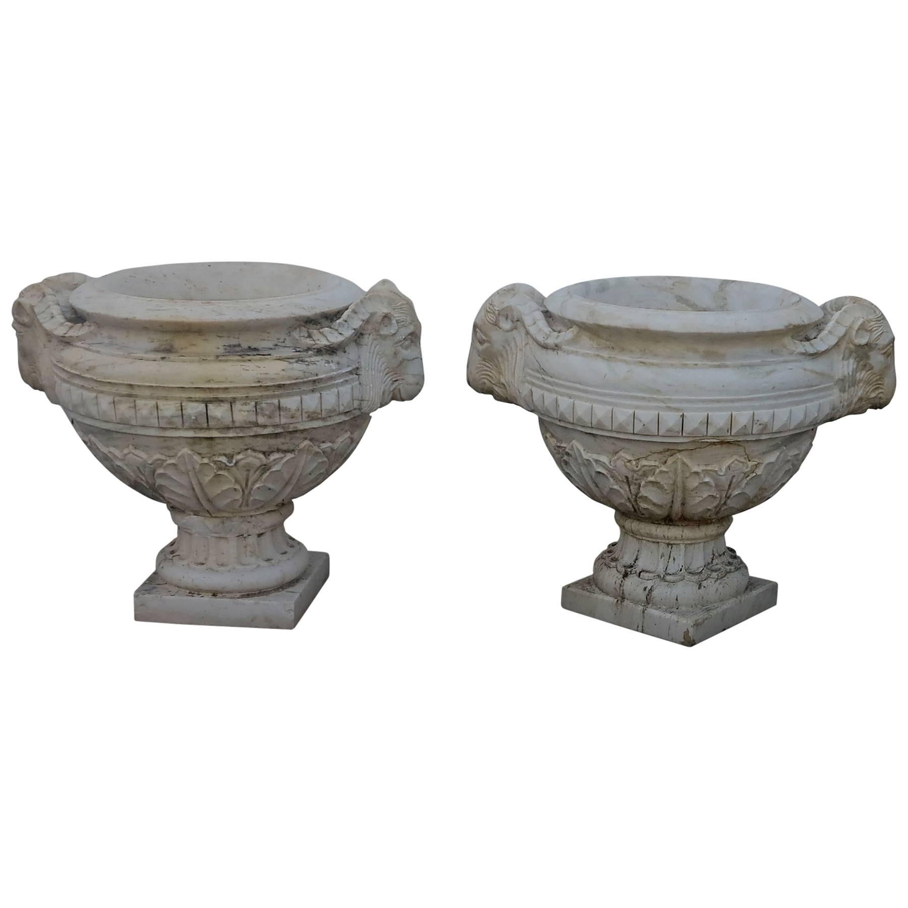 19th Century Large Carved Marble Ram Head Urns Planters