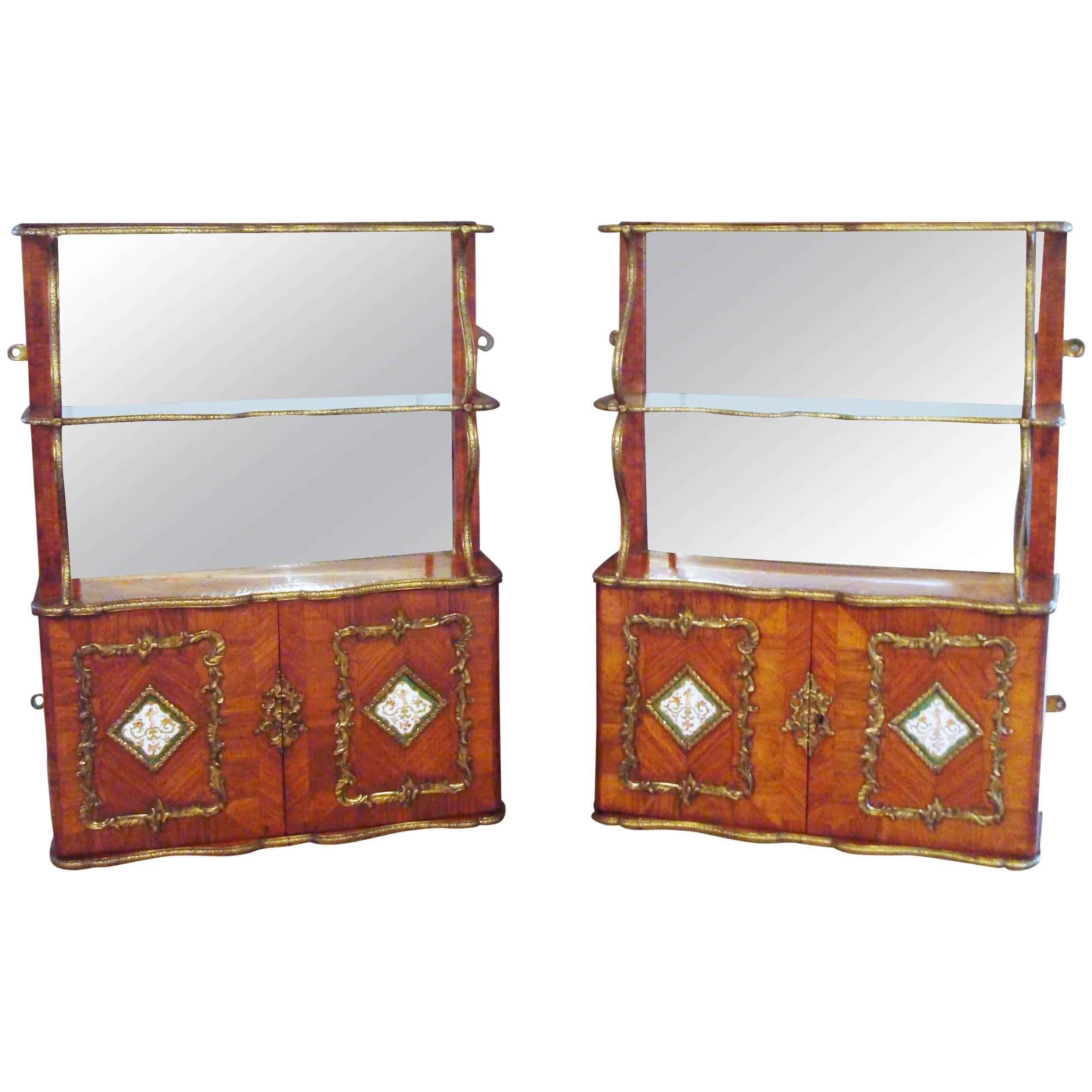 Exceptional 19th Century Pair of English Hanging Wall Cabinets by Town & Emanuel For Sale