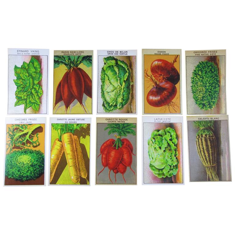 French Paper Ephemera Lithograph Vegetable Seed Packet Labels, Set of ...