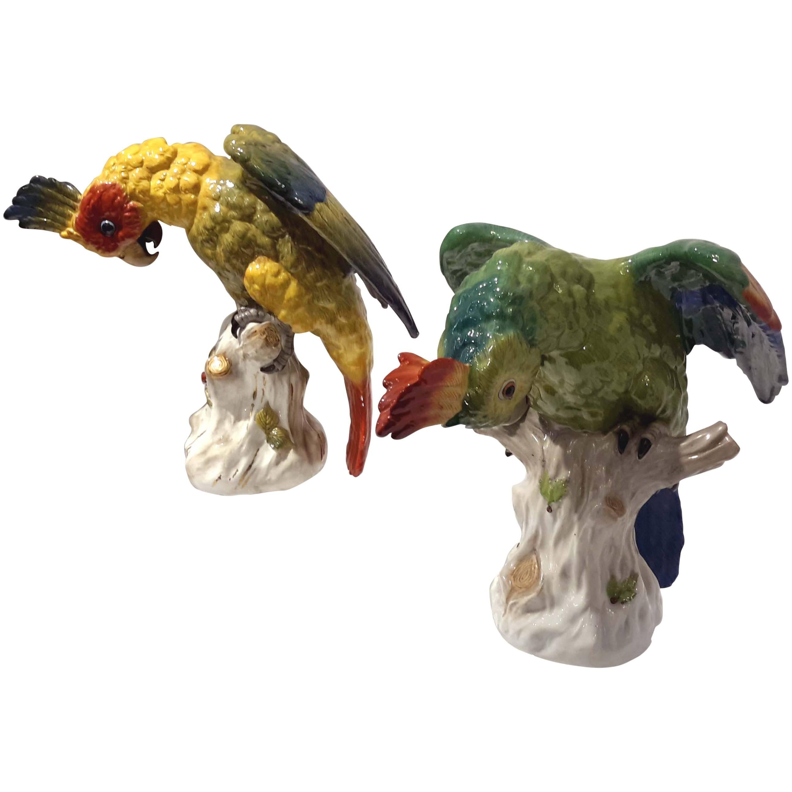 Pair of Large Dresden Porcelain Parrots, Germany, circa 1910