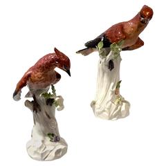 Great Pair of Meissen Porcelain Birds, Germany, circa 1921