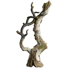 Contemporary Ceramic Birch Bough Teapot by Eric Serritella