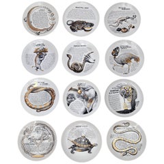 Retro Set of 12 Custom Commissioned Plates by Piero Fornasetti for Fleming Joffe Ltd