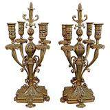 Beautiful Pair of French 19th Century Bronze Candelabra