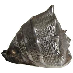 Silver Covered Shell