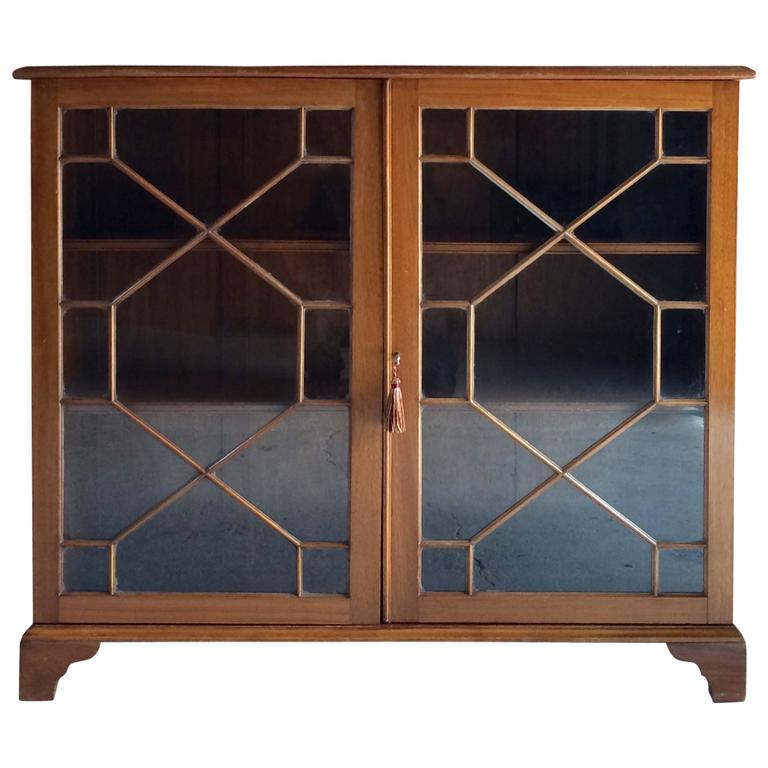 Bookcase Glass Fronted Display Astragal, 20th Century at 1stDibs